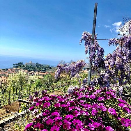 La Casa Dei Nonni Daire Agerola Dış mekan fotoğraf