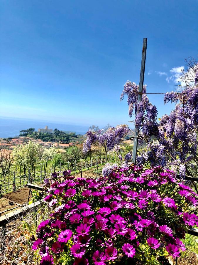 La Casa Dei Nonni Daire Agerola Dış mekan fotoğraf